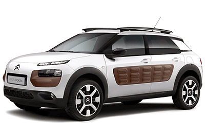 C4 Cactus