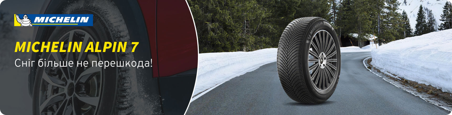 Шини Michelin Alpin 7