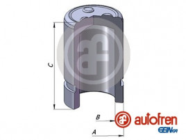 Поршень AUTOFREN SEINSA D025384