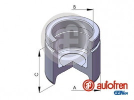 Поршень AUTOFREN SEINSA D025140