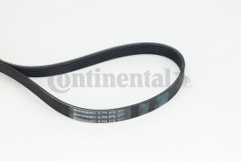 Поликлиновой ремень CONTINENTAL CTAM 6PK976