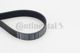 Поликлиновой ремень CONTINENTAL CTAM 8PK1122 EXTRA