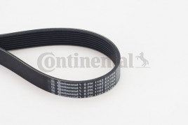 Поликлиновой ремень CONTINENTAL CTAM 8PK1162 EXTRA
