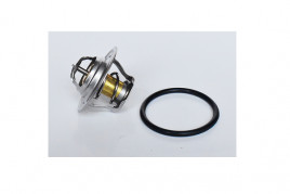 Термостат, охлаждающая жидкость Asam 73587