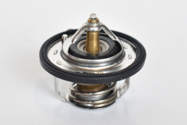 Термостат, охлаждающая жидкость Asam 75203