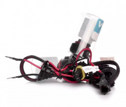 Ксеноновая лампа Winso H11 5000K 35W 719500 (2 шт.)