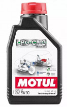 Масло моторное синтетическое Motul LPG-CNG SAE 5W-30 1л. 110664