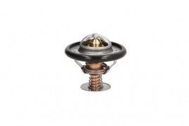 Термостат THERMOTEC D2C002TT
