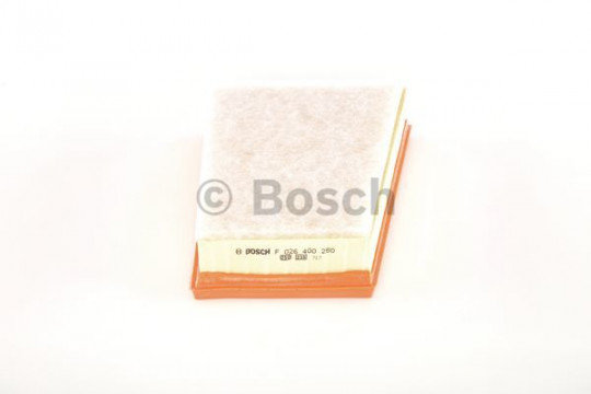 Bosch Воздушный фильтр BOSCH F026400250 - Картинка 1